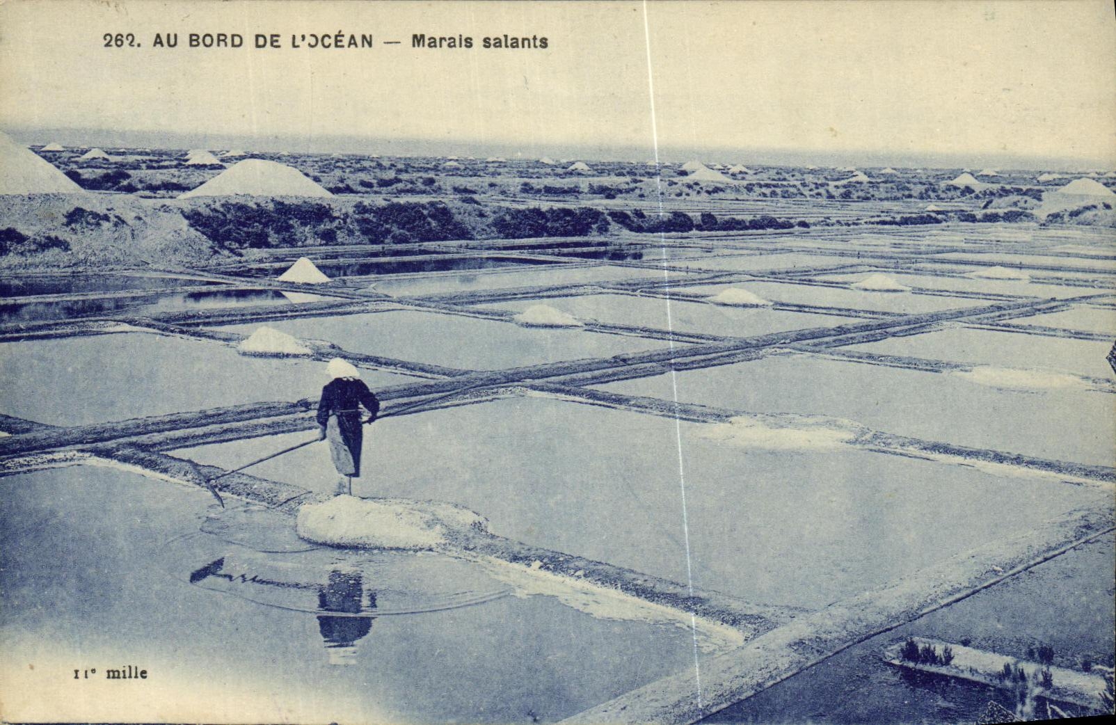 CPA Au Bord De L Ocean Marais Salants