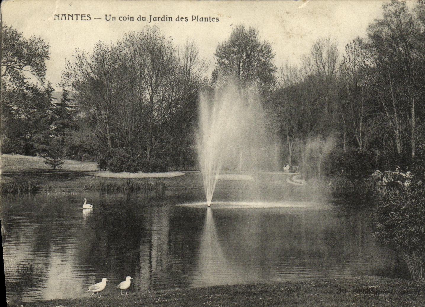 CPA Nantes Un Coin du Jardin des Plantes