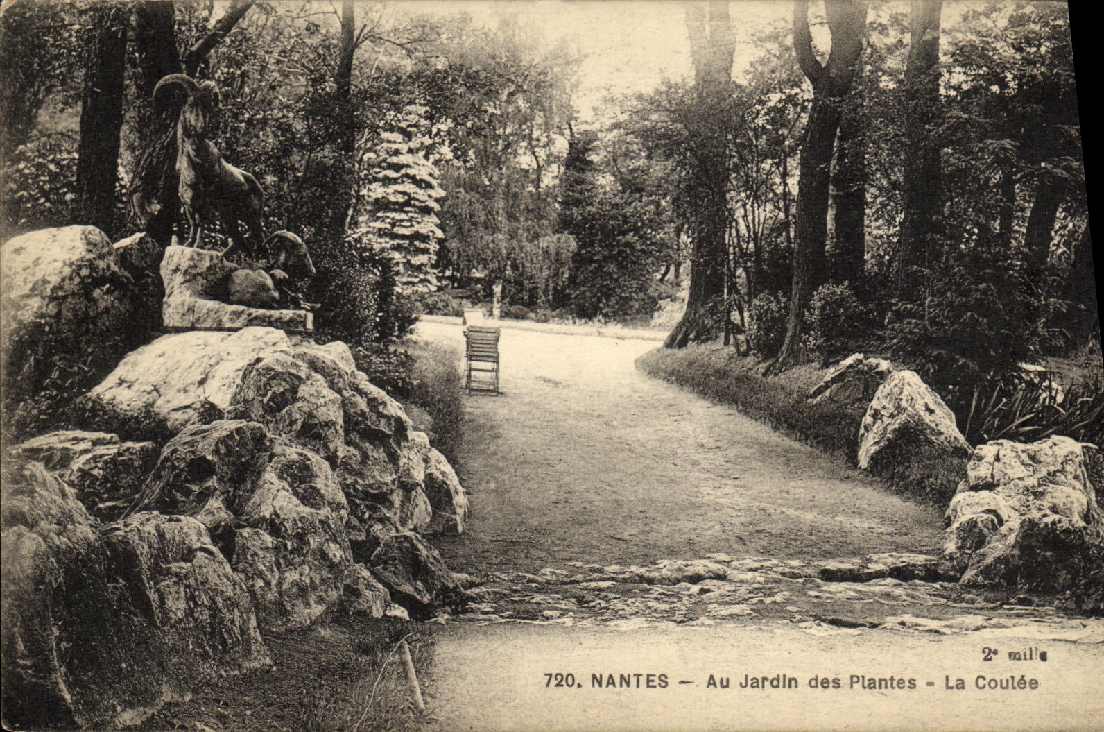 CPA Nantes Au Jardin des Plantes La coulee