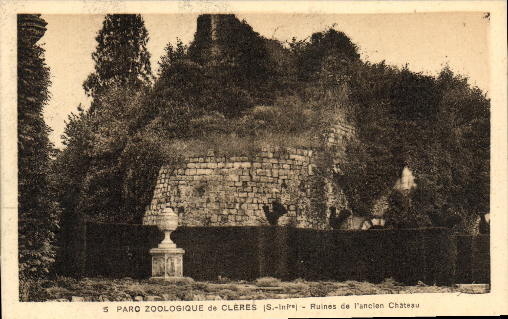 CPA Parc zoologique de Cleres Ruines de l ancien chateau Zoo