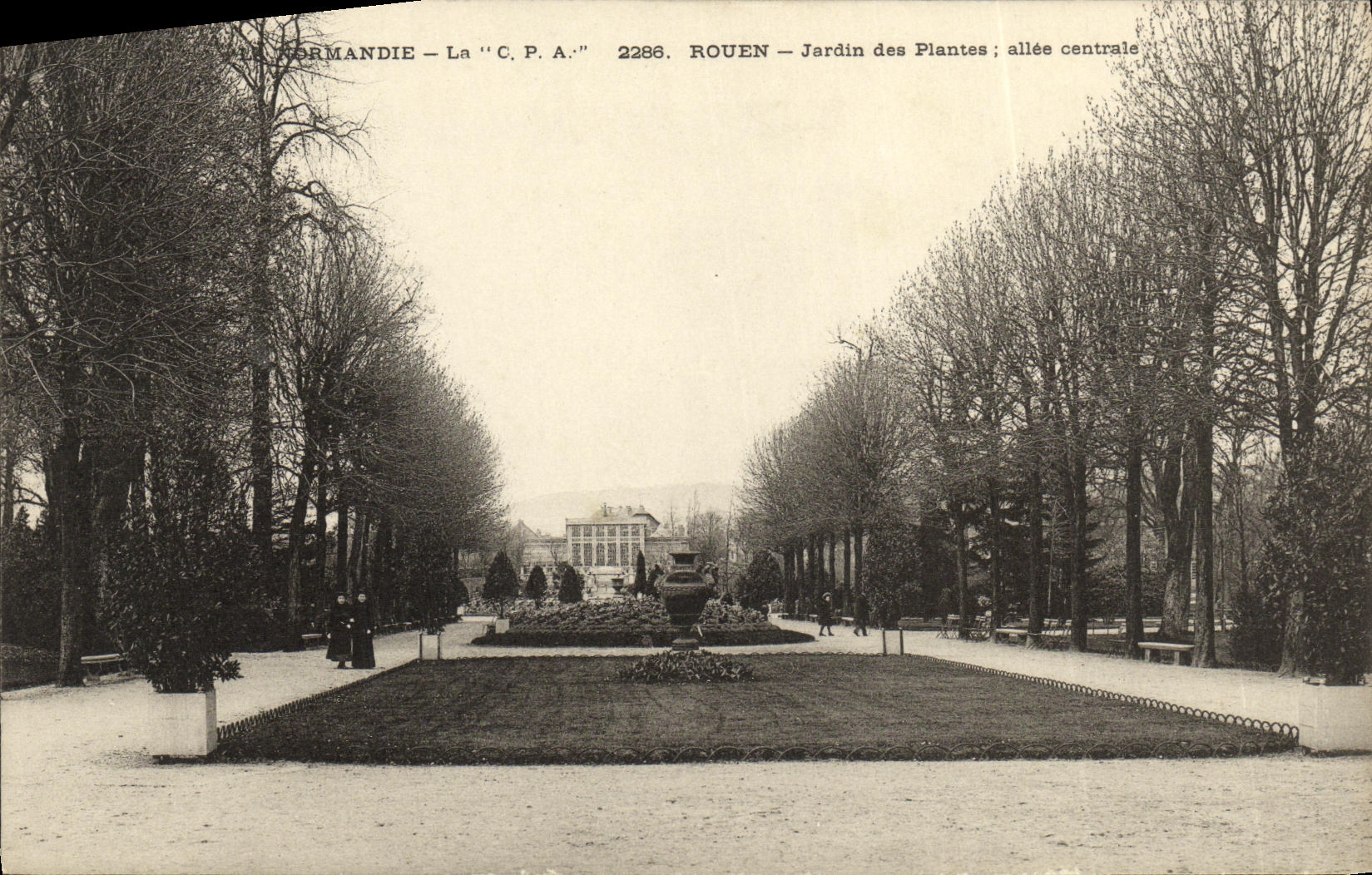 CPA Rouen Jardin des Plantes Allee centrale