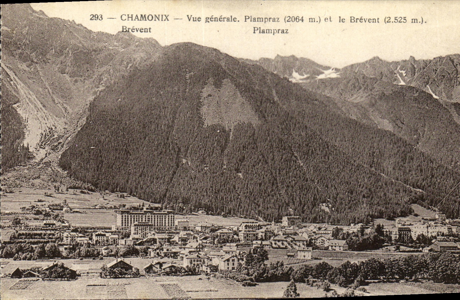 CPA Chamonix Vue Generale Plampraz et le Brevent