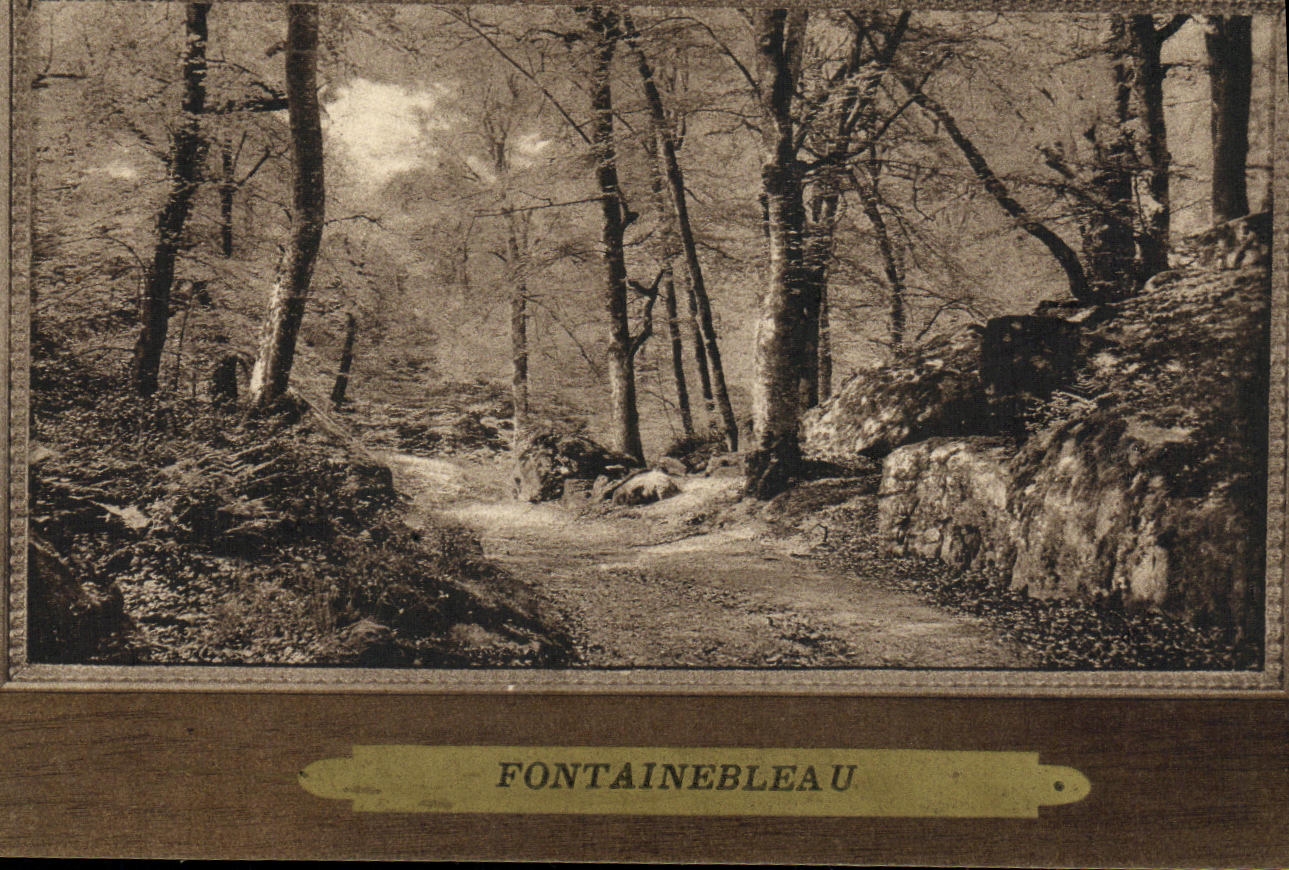 Fontainebleau — Sentiero forestale — Editore anonimo, n. 13
