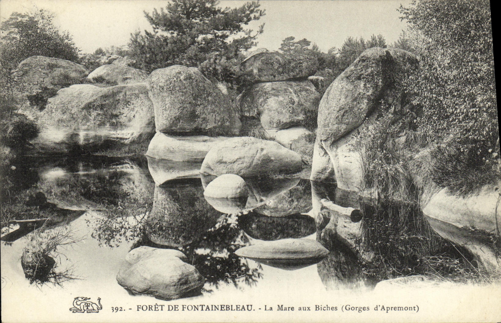 Forêt de Fontainebleau — La Mare aux Biches (Gorges d'Apremont) — n° 392