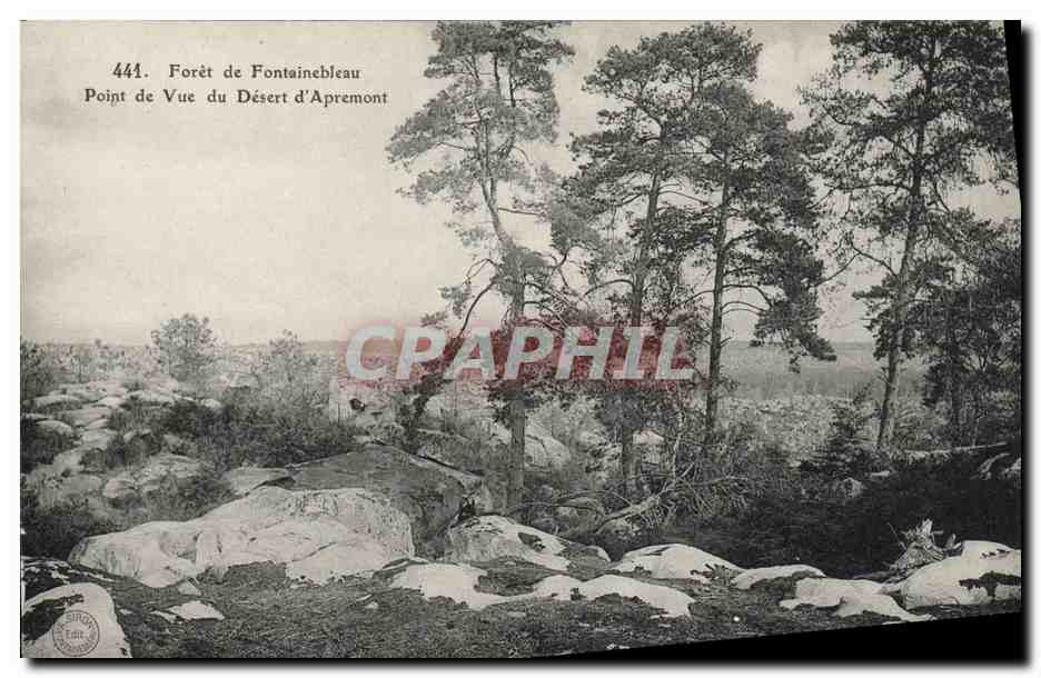 Forêt de Fontainebleau — Point de Vue du Désert d'Apremont — n°441