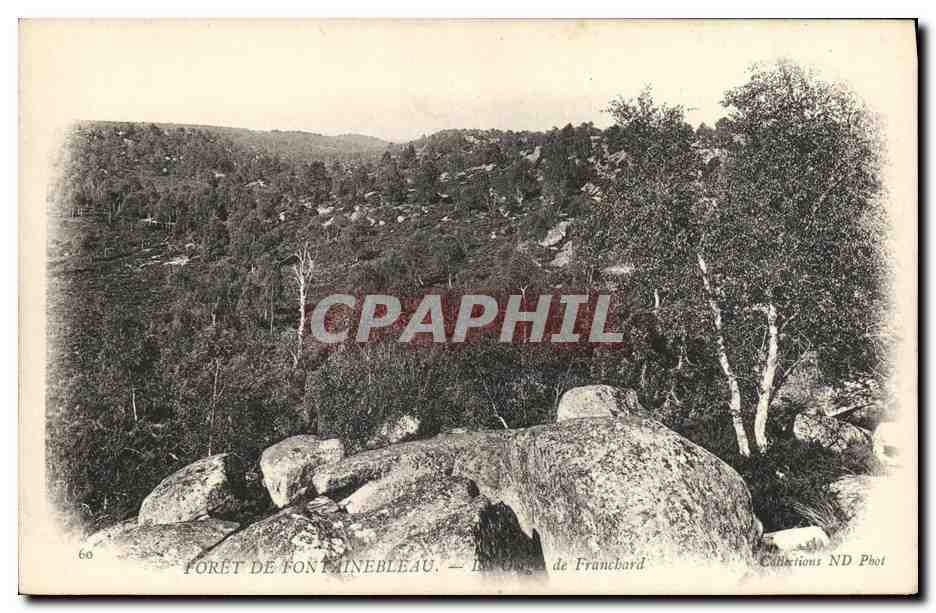 Wald von Fontainebleau — Felsen von Francbard — Collections ND Phot