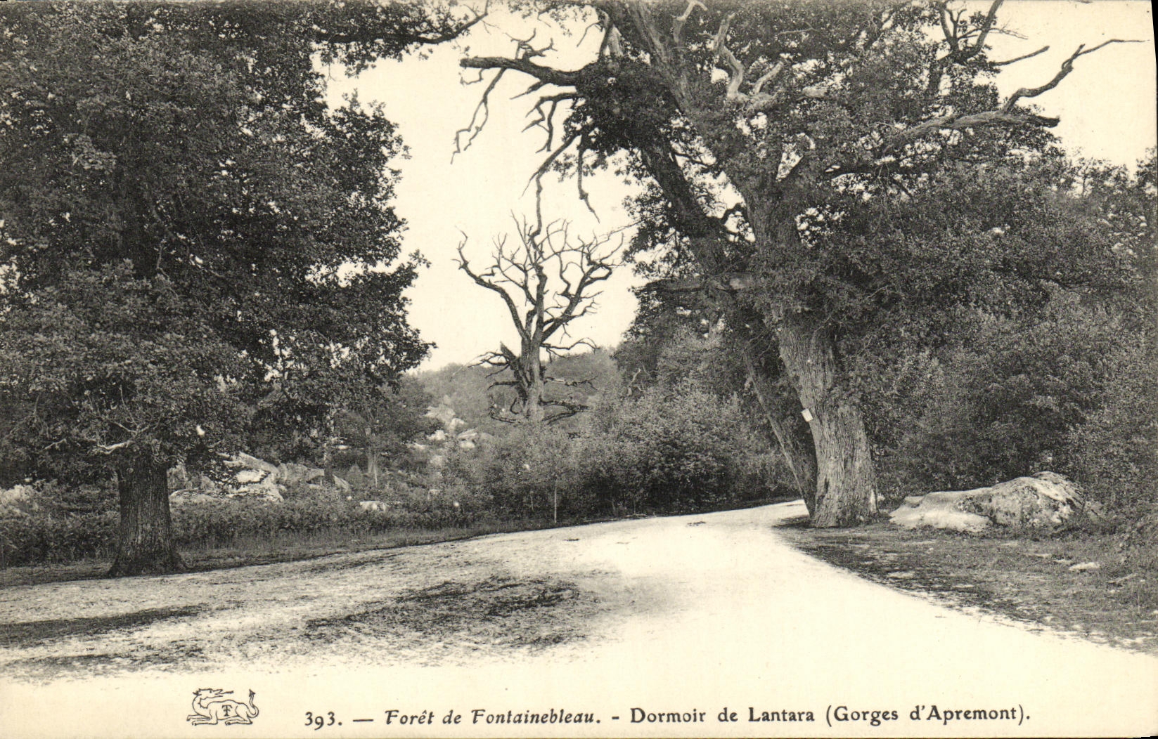 Bosque de Fontainebleau — Dormitorio de Lantara (Gorges d'Apremont) — n°393
