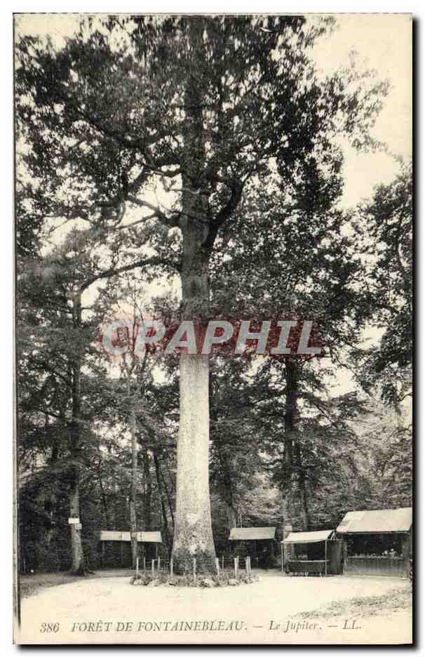 Bosque de Fontainebleau — El Jupiler — LL. — Graphil, n° 386 - Anverso