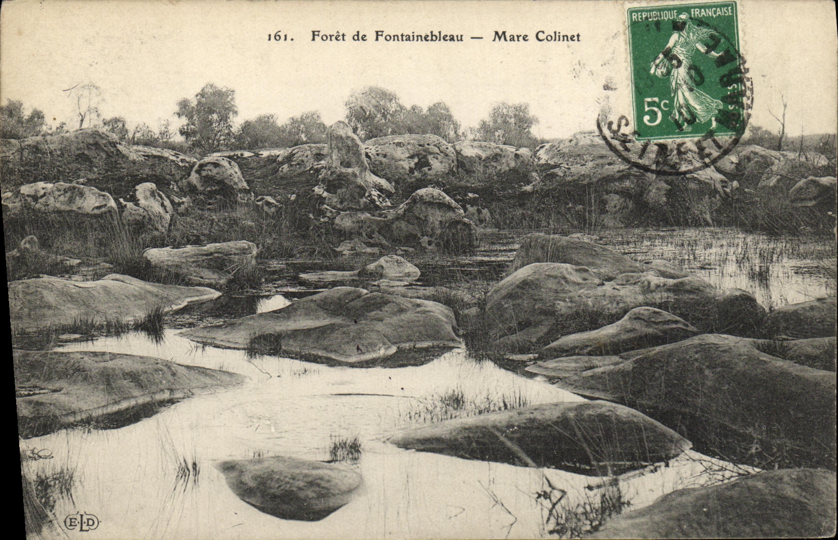Forêt de Fontainebleau — Mare Colinet — ELP - Anverso
