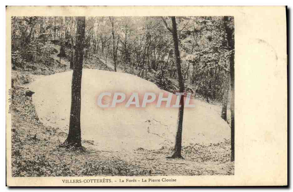 Villers-Cotterêts - La Forêt - La Pierre Clouise