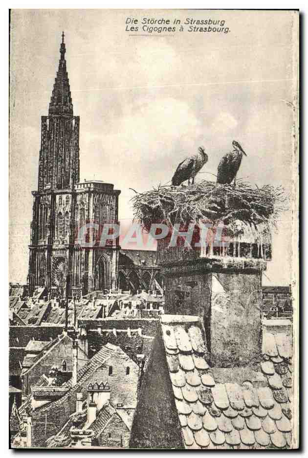 CPA Les Cigognes a Strasbourg