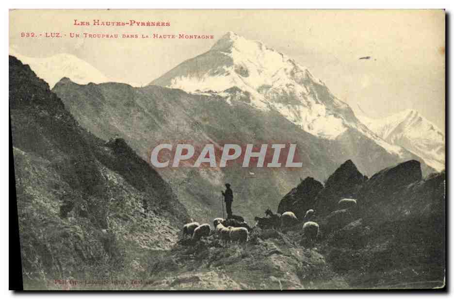 CPA Luz Un Troupeau Dans La Haute Montagne Berger et moutons