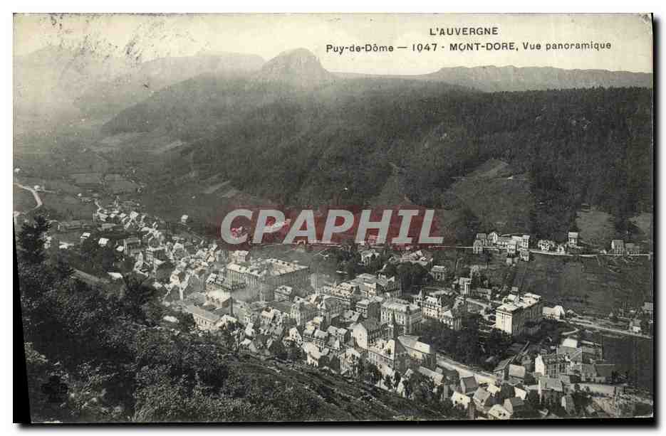 CPA Le Mont Dore Vue Panoramique