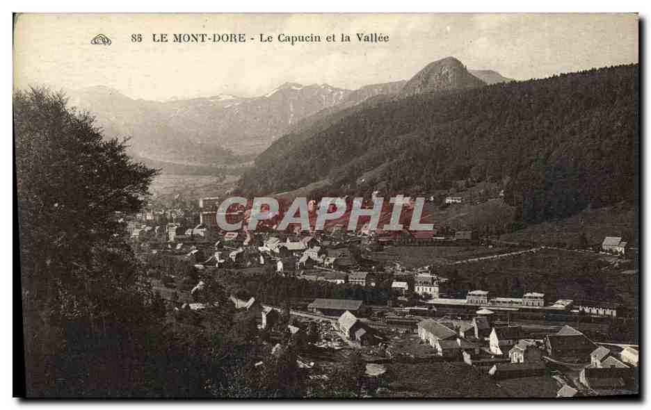 CPA Le Mont Dore Le Capucin et la Vallee