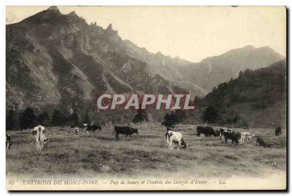 CPA Environs du Mont Dore Puy de Sancy et l entree des gorges d enfer Vaches