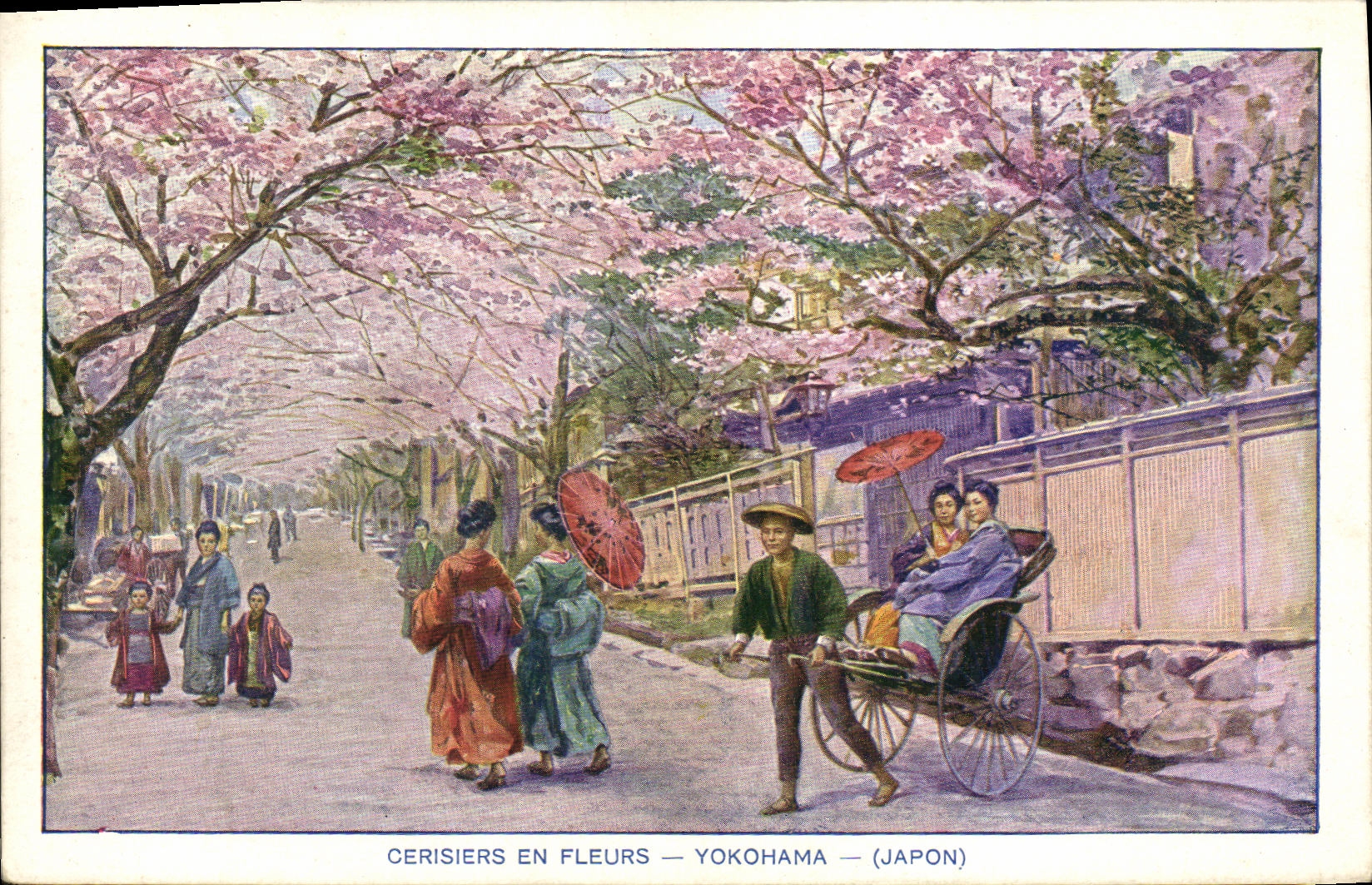 CPA Cerisiers en Fleurs Yokohama Japon Nippon