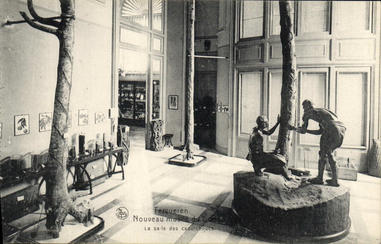 Tervueren - Nouveau musée du Caoutchouc - La salle des caoutchoucs — Édition Epae Michiels-Loblieq, Tervueren