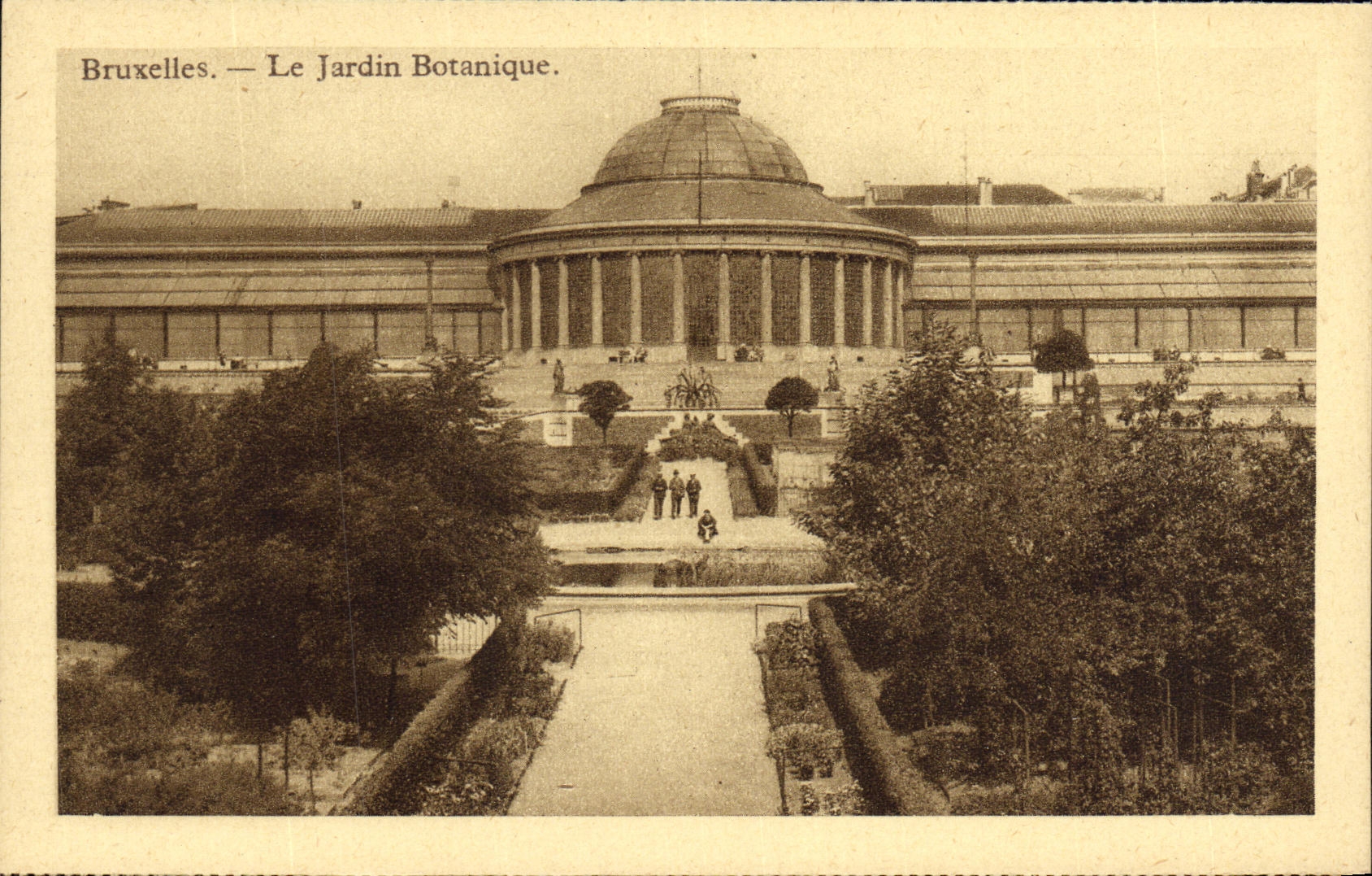 CPA Bruxelles Le Jardin Botanique