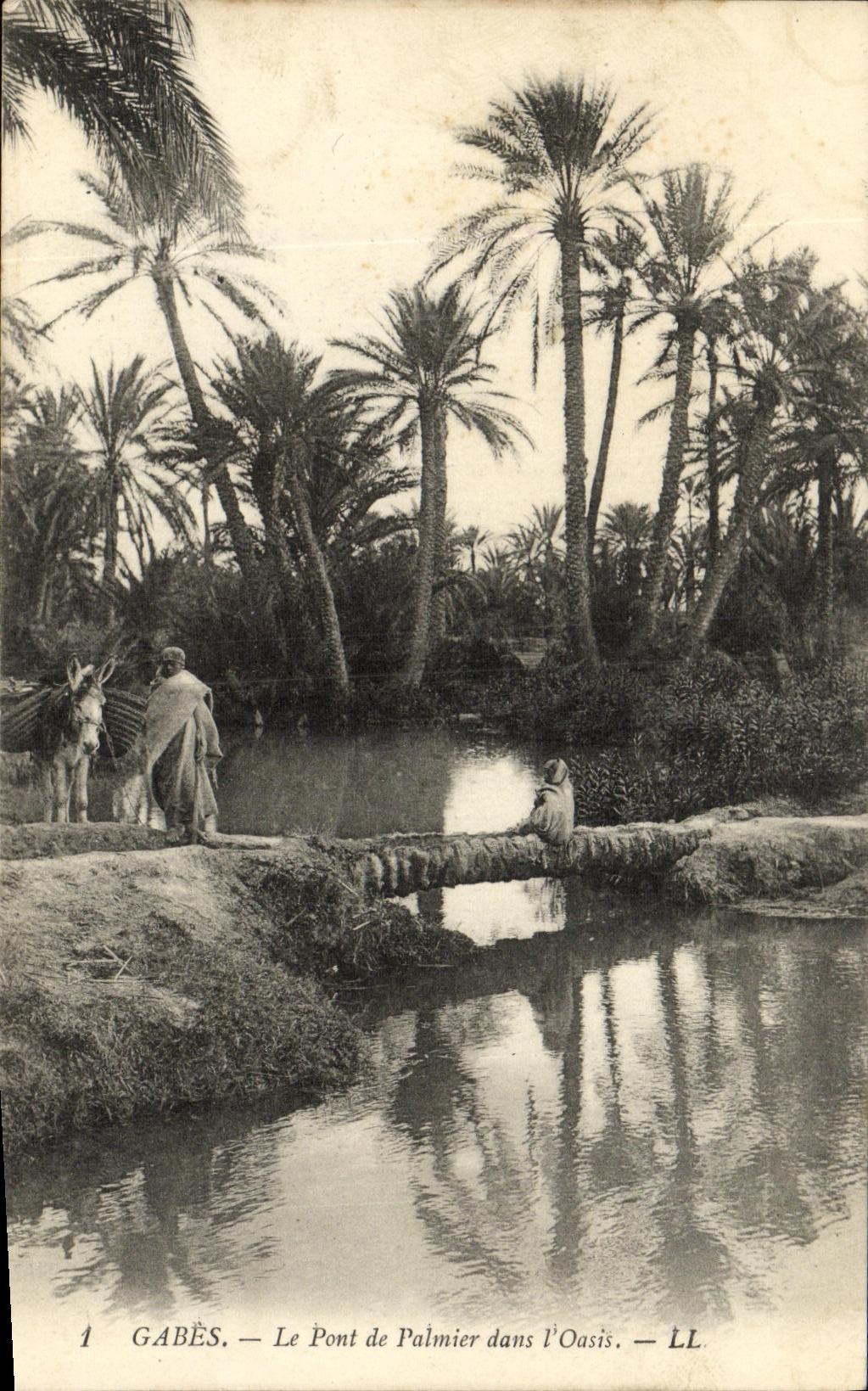 CPA Gabes Le Pont de Palmier dans L Oasis