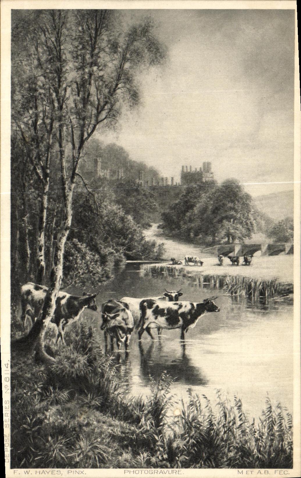 CPA Hayes Vaches