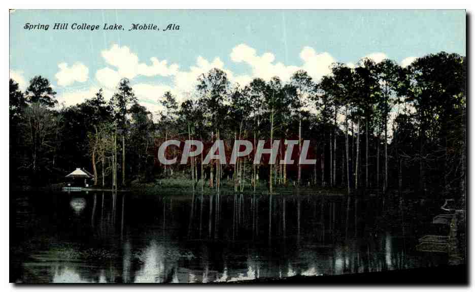 CPA Spring Hill College Lake Mobile Ala