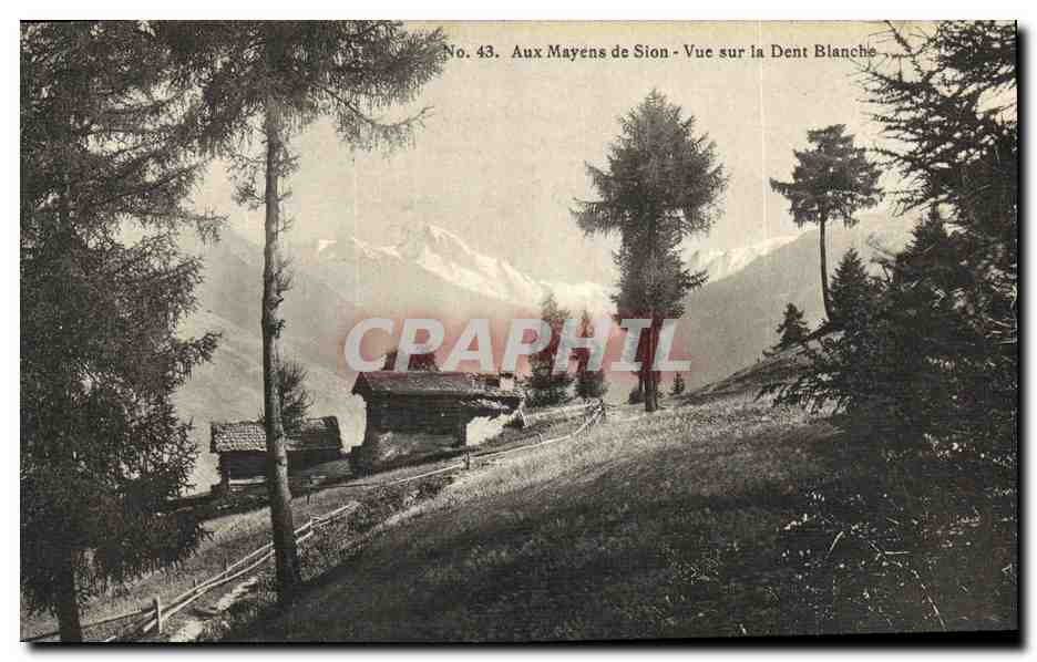 CPA Aux Mayens de Sion Vue sur la Dent Blanche