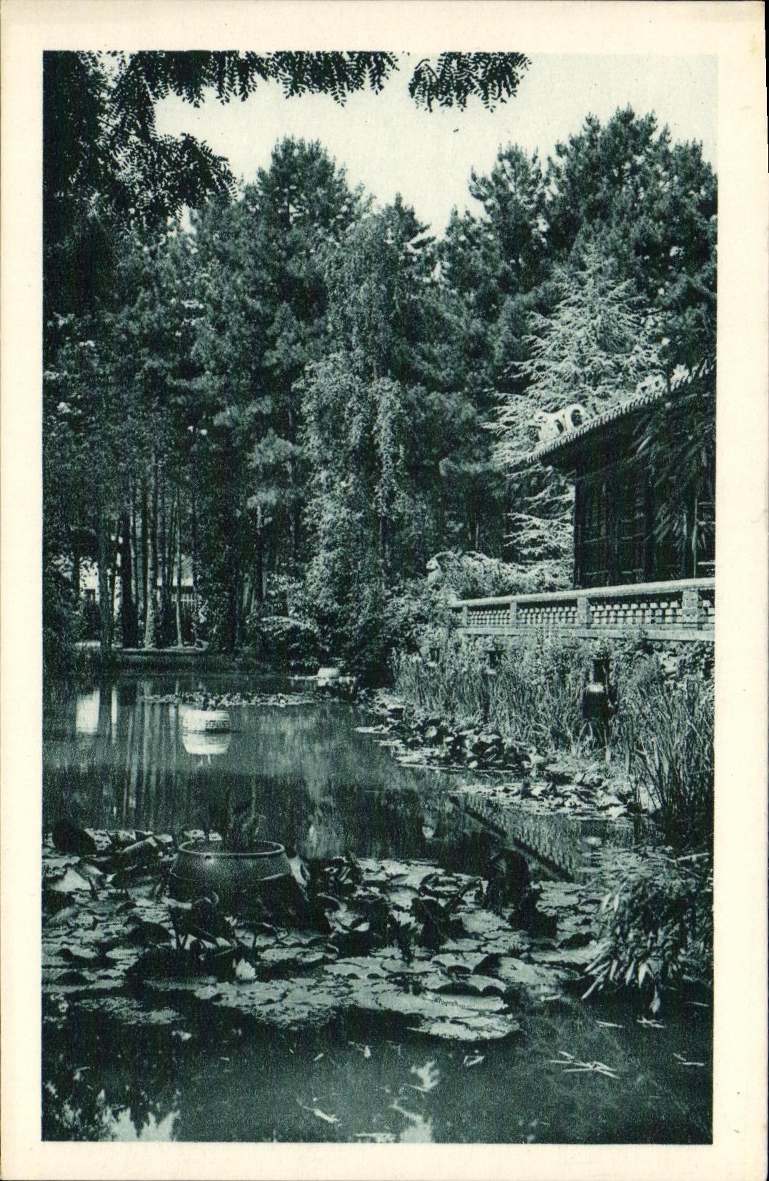 CPA Le Petit lac du Temple commemoratif orne de touffes de Nympheas nulticolores Institut national agornomie indochinois