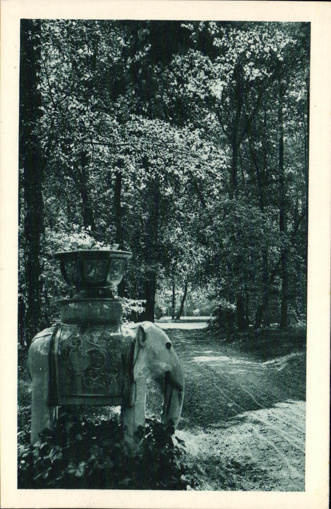CPA Allee donnant acces du Temple commemoratif Institut national agornomie indochinois Elephant