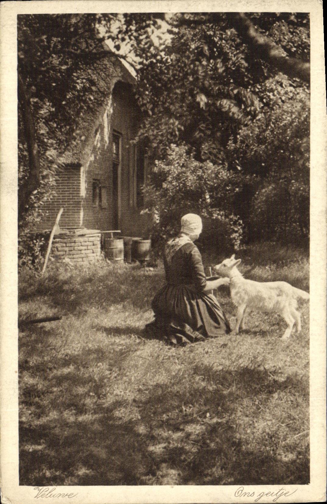 CPA Velunve Chevre Femme 