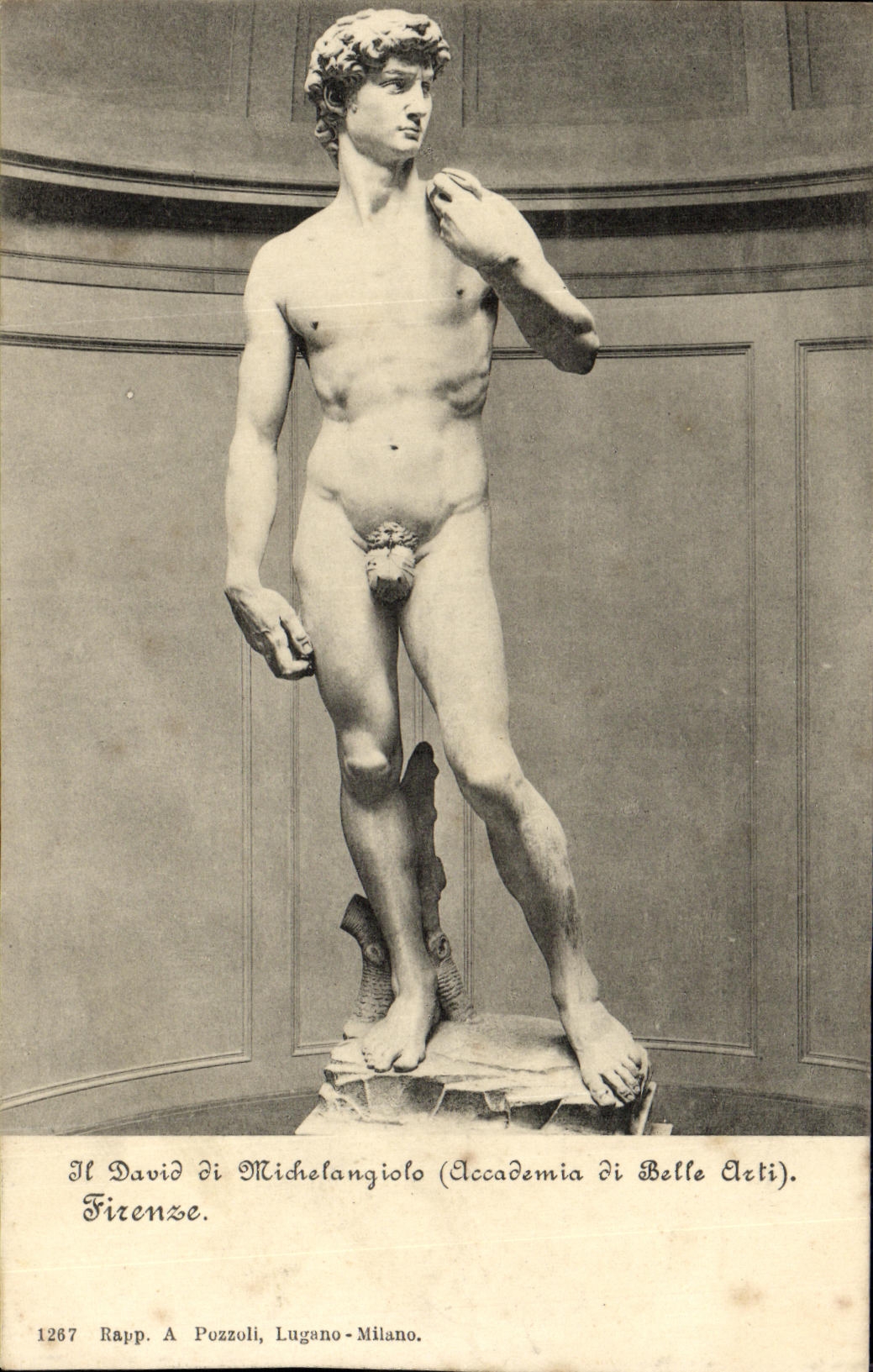 CPA H David di Michelangiolo Firenze 