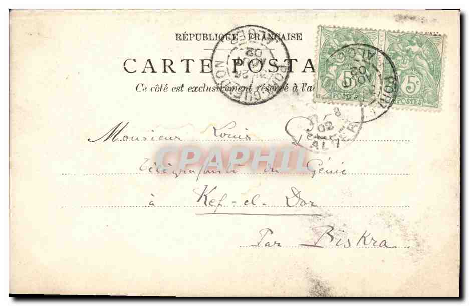 CARTE PHOTO Algerie Alger Guepard  — Rückseite