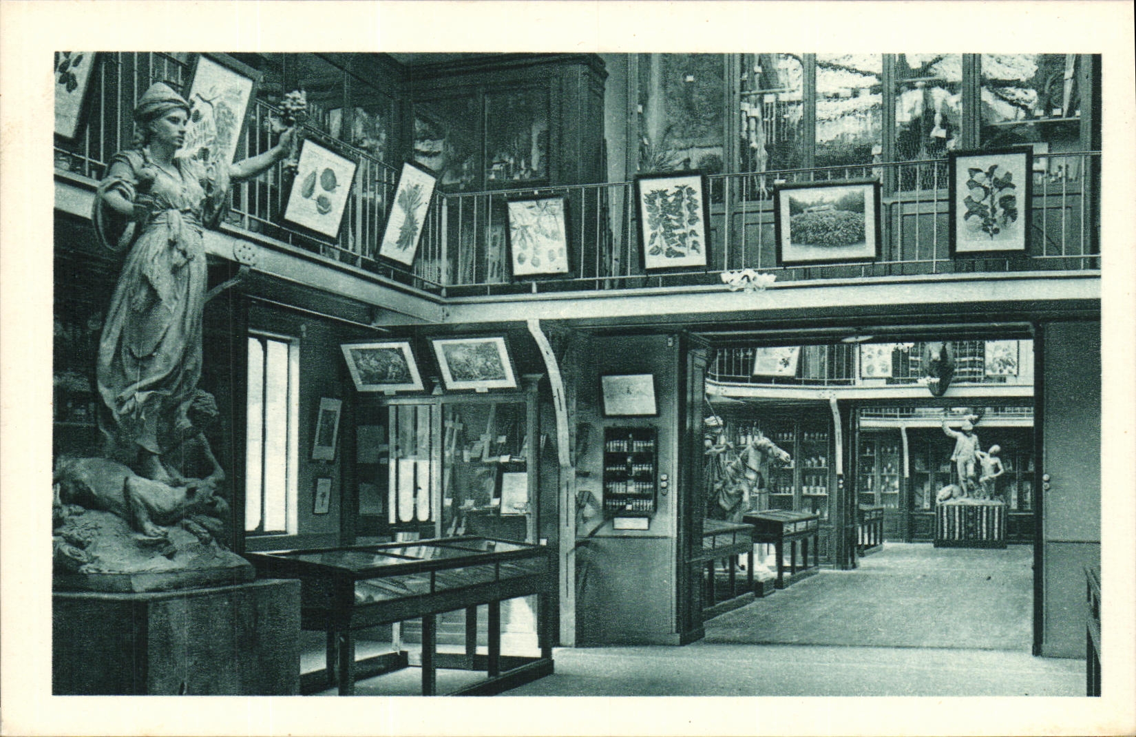 CPA Institut National d Agronomie Coloniale Souvenir Indochinois Indochine Musee