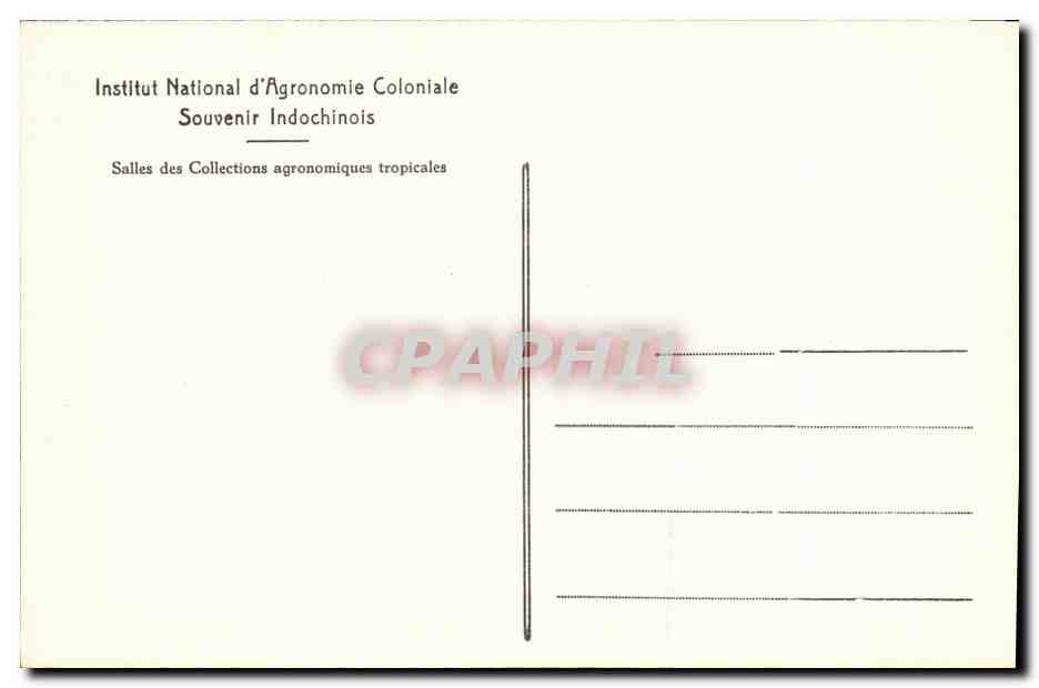 CPA Institut National d Agronomie Coloniale Souvenir Indochinois Indochine Musee — Rückseite