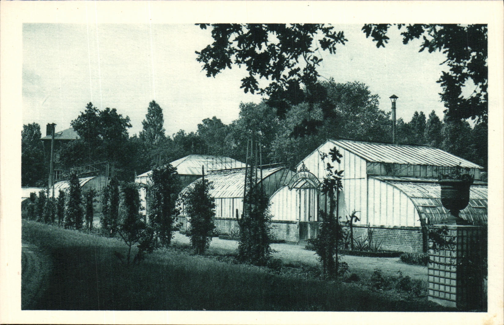 CPA Institut National d Agronomie Coloniale Souvenir Indochinois Indochine Musee Serres des plantes 