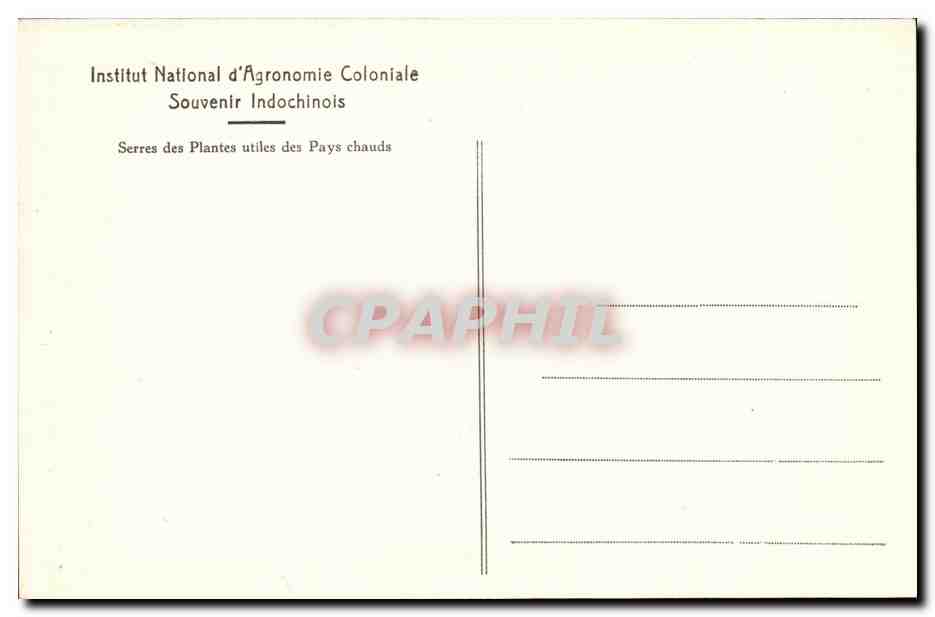 CPA Institut National d Agronomie Coloniale Souvenir Indochinois Indochine Musee Serres des plantes  — Verso