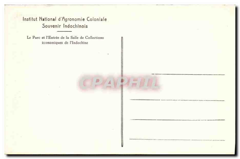 CPA Institut National d Agronomie Coloniale Souvenir Indochinois Indochine Musee Parc et entree des collections — Rückseite