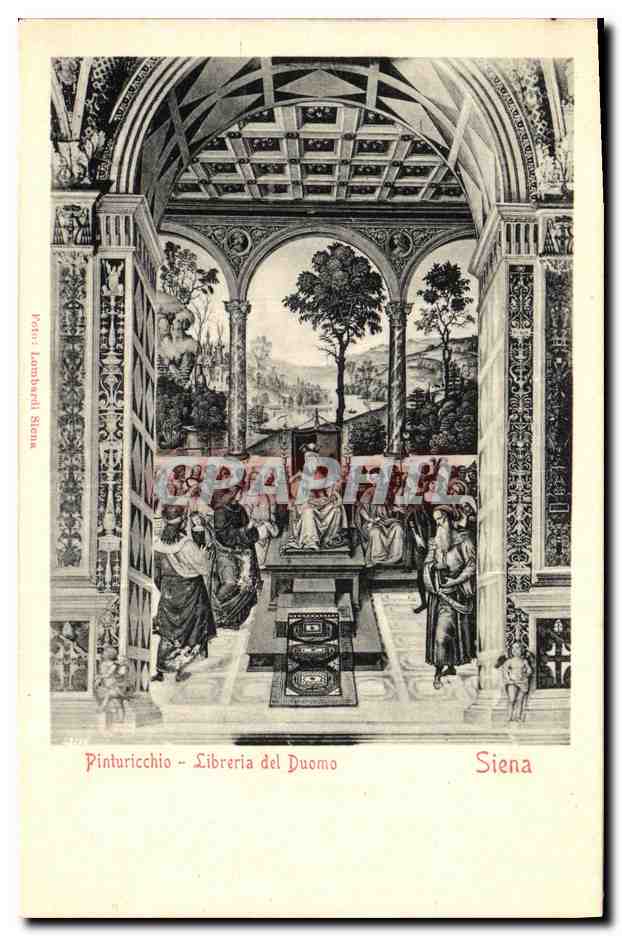 CPA Siena Pinturicchio Libreria del Duomo