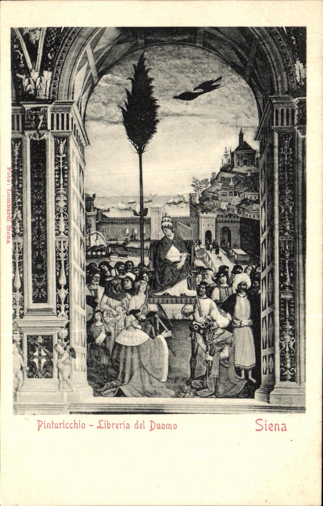 CPA Siena Pinturicchio Libreria del Duomo