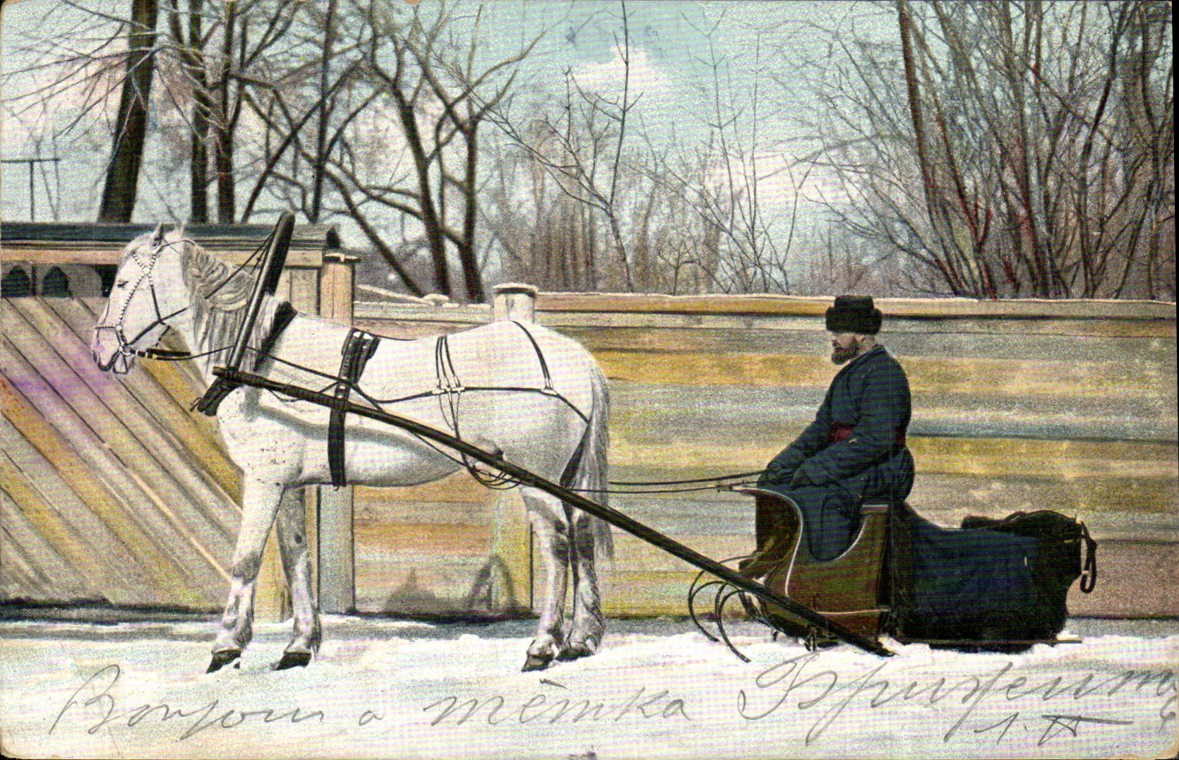 CPA Russie Traineau Cheval Russia