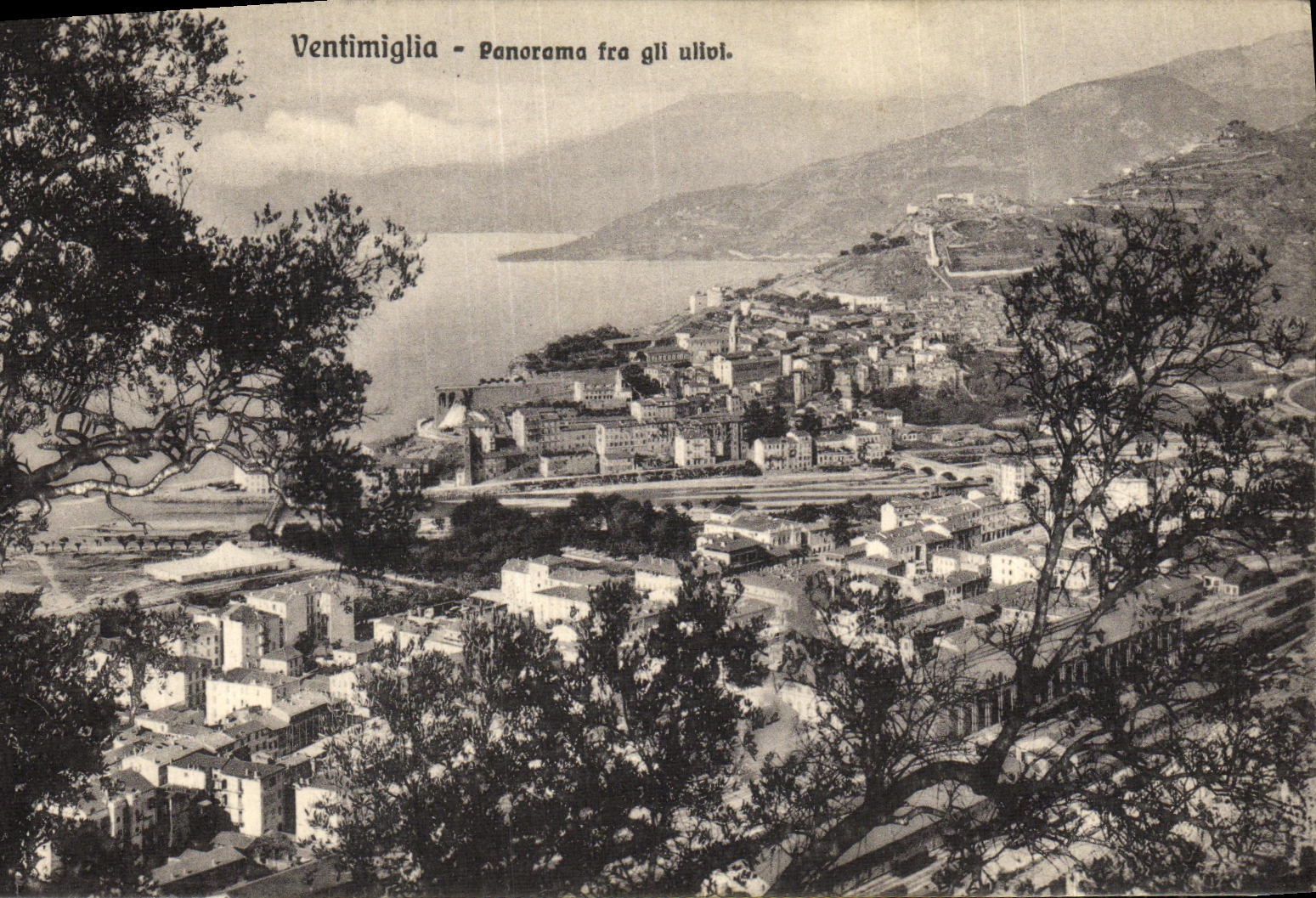 CPA Ventimiglia Panorama Fra Gli Ullivi