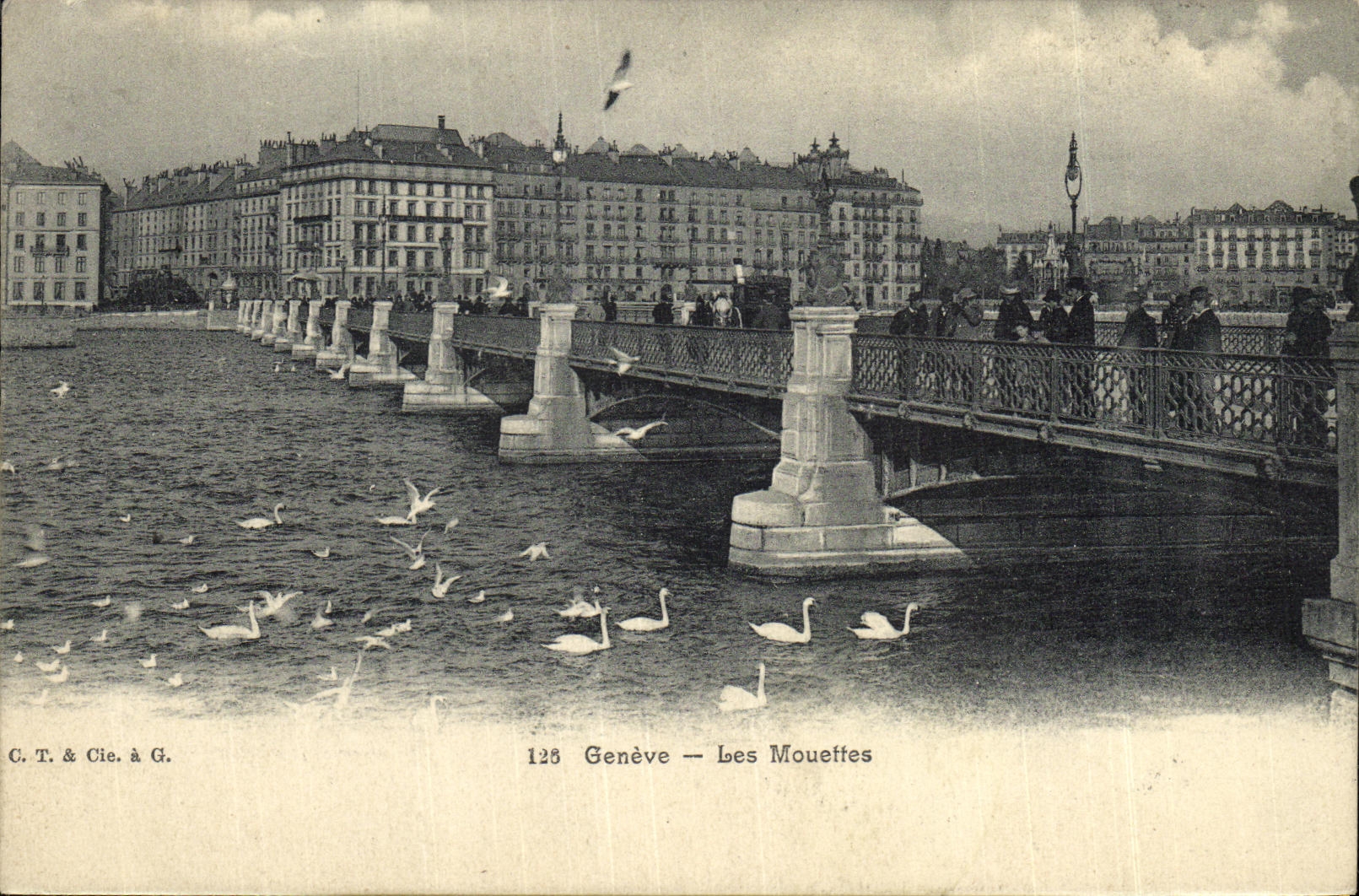 CPA Geneve Les Mouettes