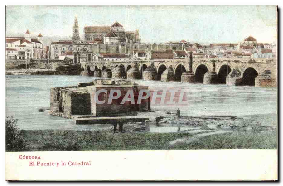 CPA Cordoba Ei Puente Y la Catedral