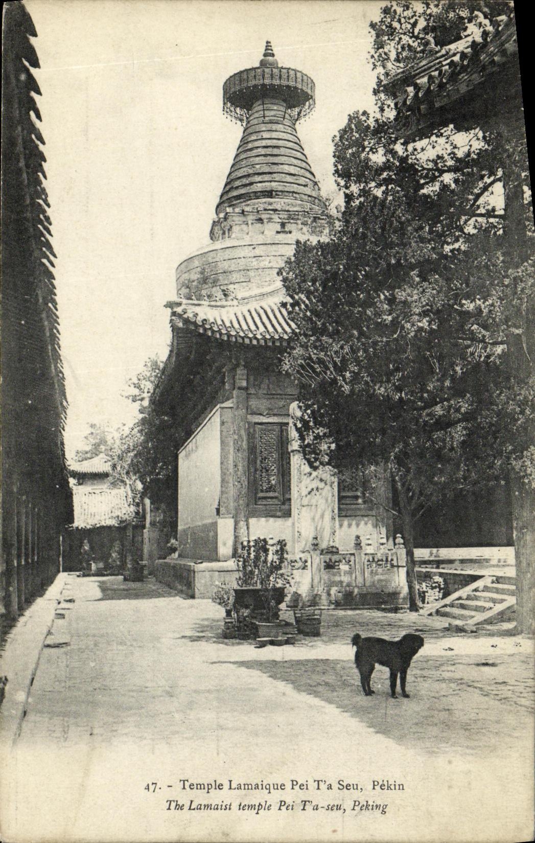 Temple Lamaïque Pei T'a Seu — Pékîn — M. M. éditeur