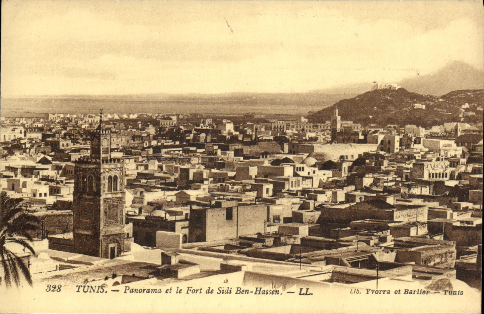 CPA Tunis Panorama et le Fort de Sidi Ben Hassen