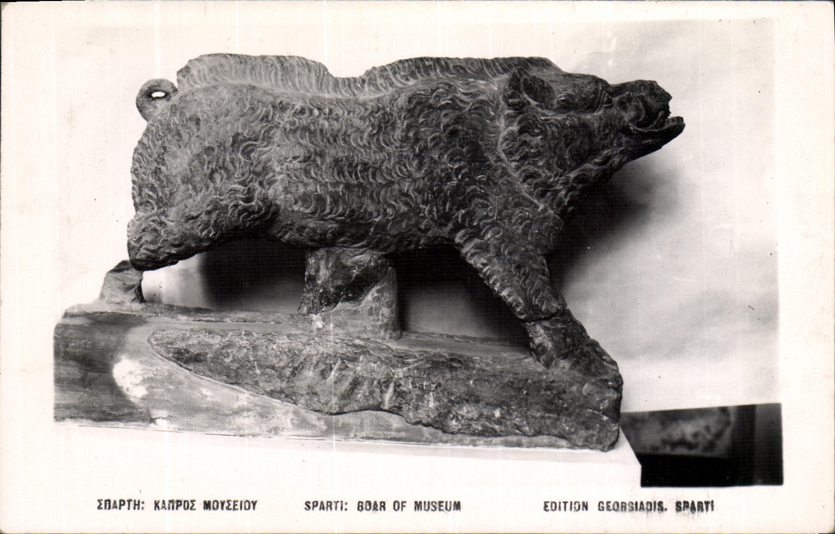 CPA Sparti Boar of Museum Sanglier