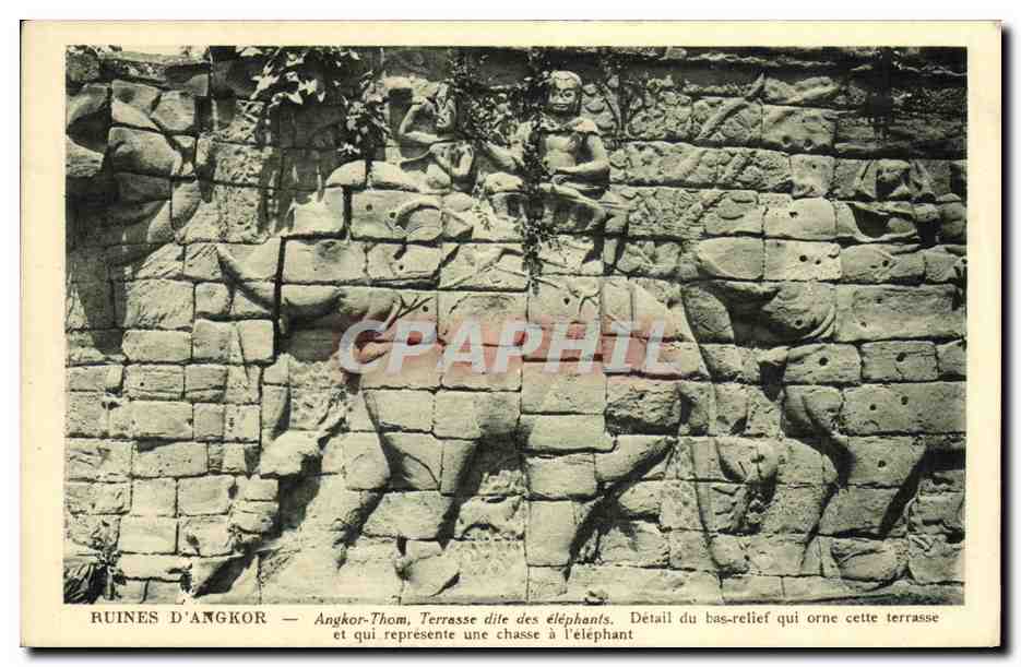 CPA Ruines D Angkor Angkor Thom Terrasse dite des elephants