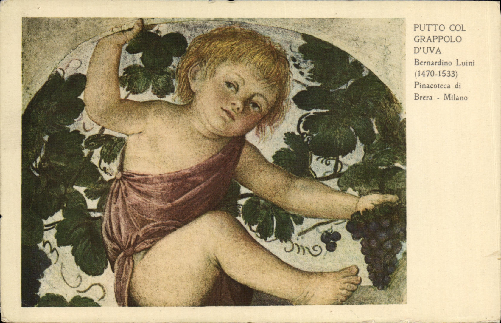 CPA Putto Col Grappolo D Uva Milano Bernardino Luini Enfant