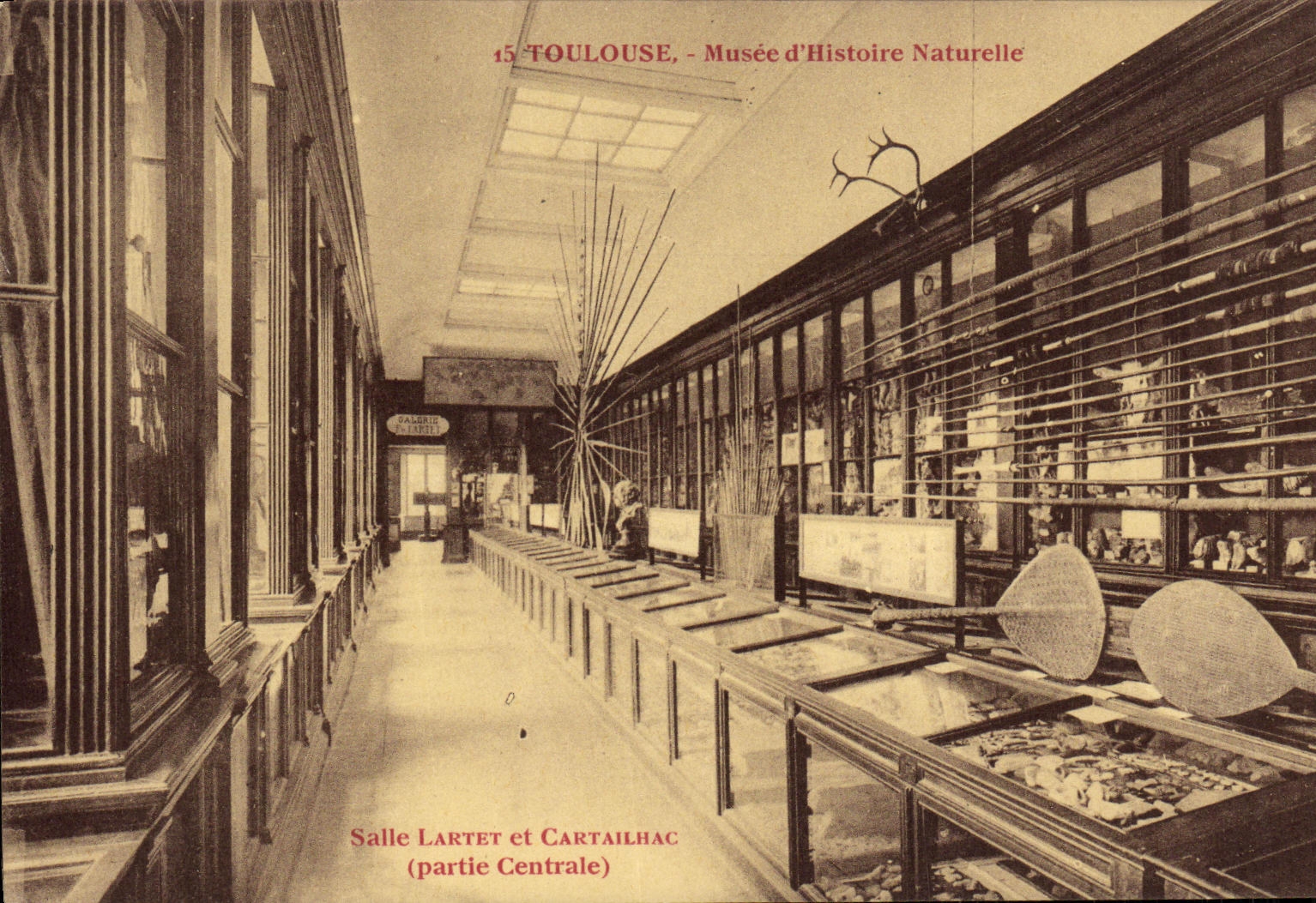 CPA Toulouse Musee d Histoire Naturelle Salle Lartet et Cartailhac 