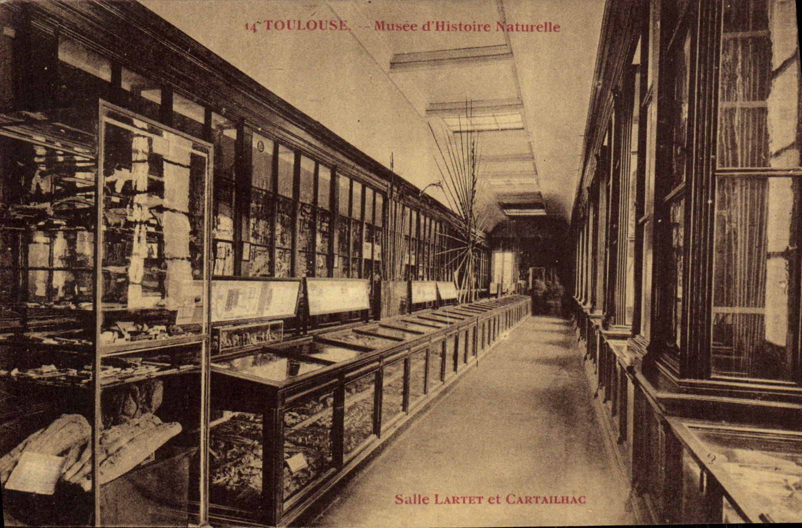 Toulouse — Musée d'Histoire Naturelle — Salle Lartet et Cartailhac