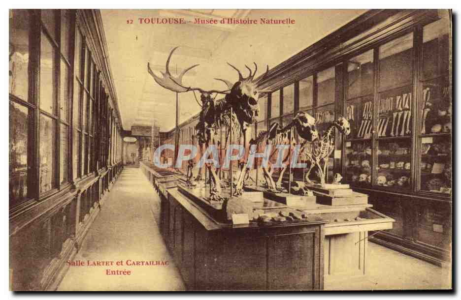 CPA Toulouse Musee d Histoire Naturelle Salle Lartet et Cartailhac Entree Dinosaure Squelette